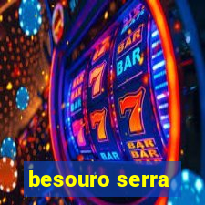 besouro serra-pau morde